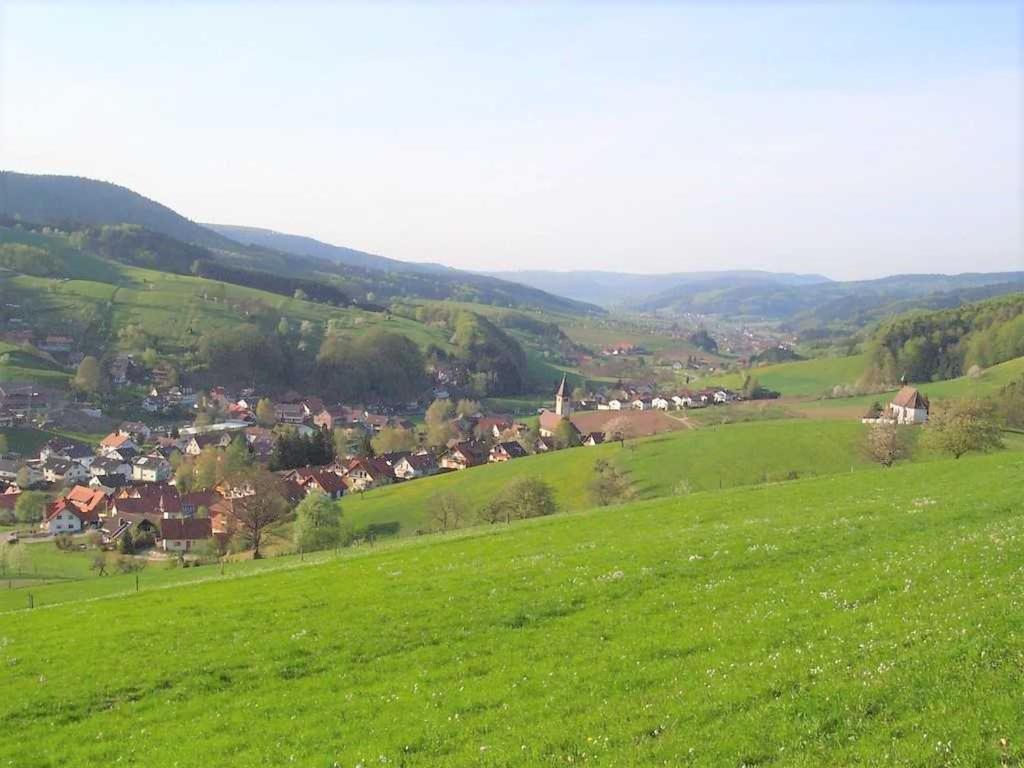 Ferienwohnung In Der Ruhl Schuttertal Extérieur photo